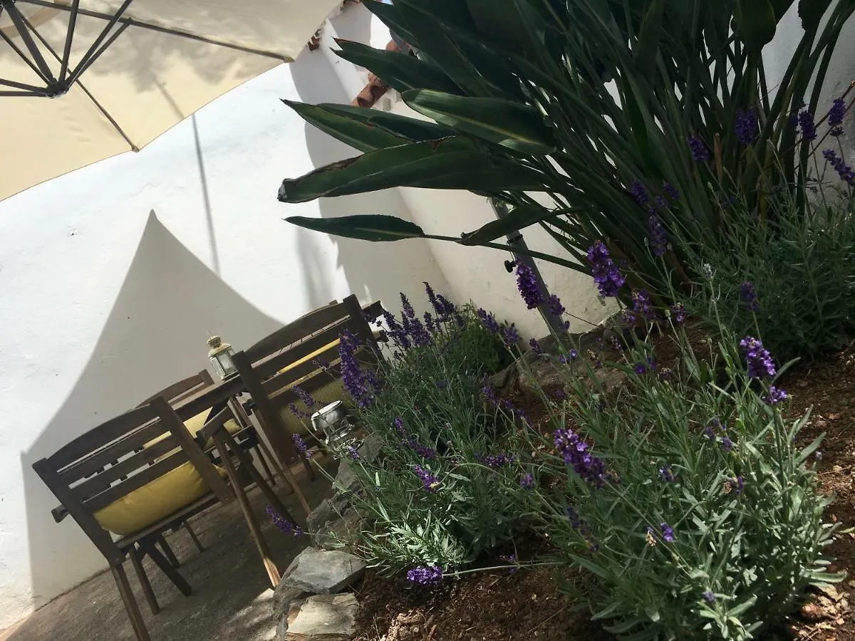 La Casita De Las Palmas Vv